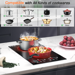 Electric Cooktop 12 Inch, 2 Burner Electric Stove Top Built-in Sensor Touch Electric Stovetop,220-240V Hard Wired (No Plug)