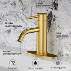Single Handle Brass Bathroom Sink Faucet with Pop Up Drain Assembly and Water Faucet Supply Lines