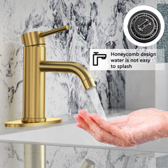 Single Handle Brass Bathroom Sink Faucet with Pop Up Drain Assembly and Water Faucet Supply Lines
